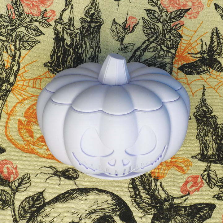 Halloween Pumpkin Enrichment Pot - Lovely Lavender