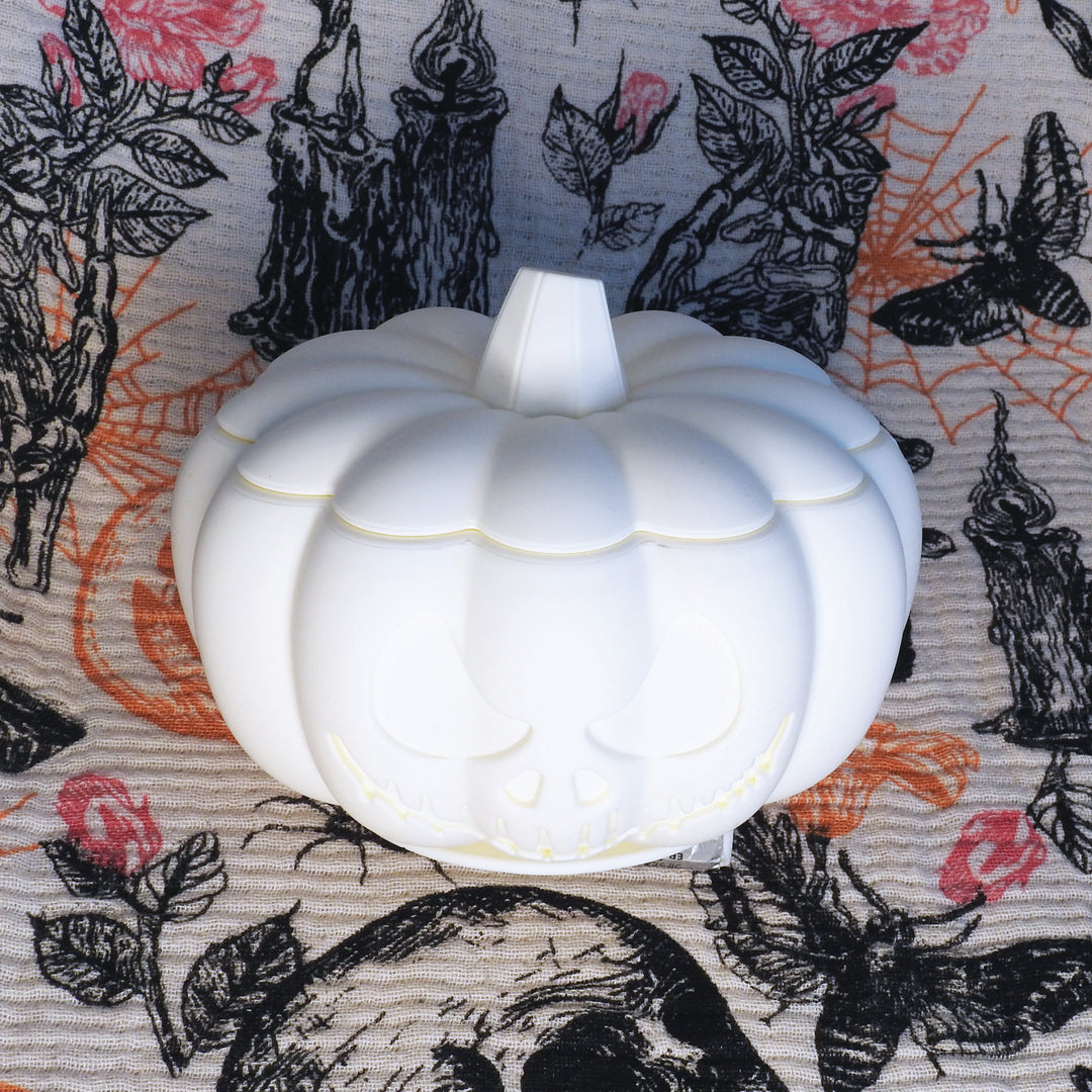 Halloween Pumpkin Enrichment Pot - Ghostly White