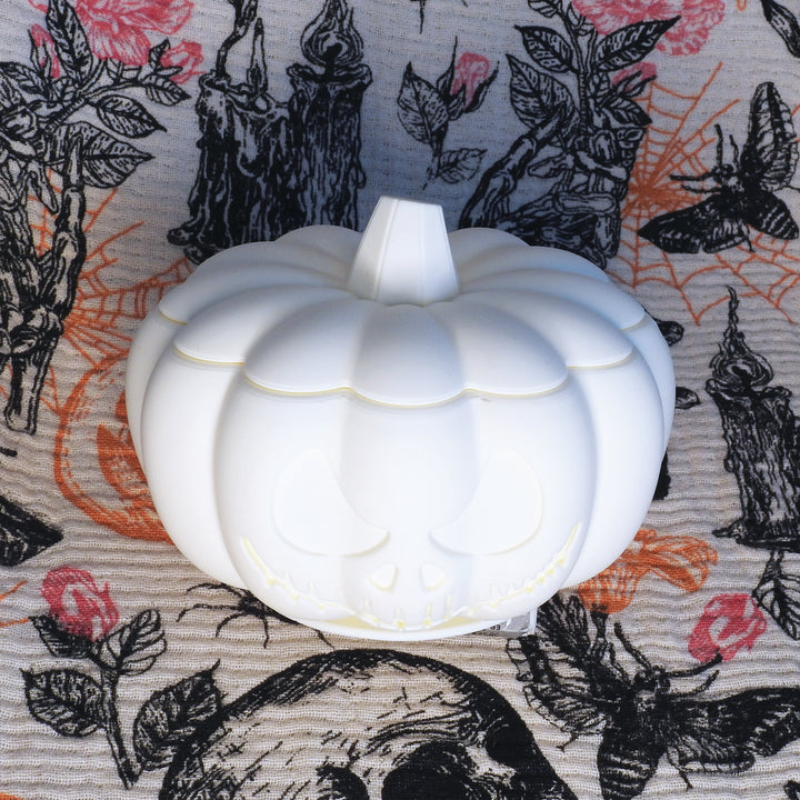 Halloween Pumpkin Enrichment Pot - Ghostly White