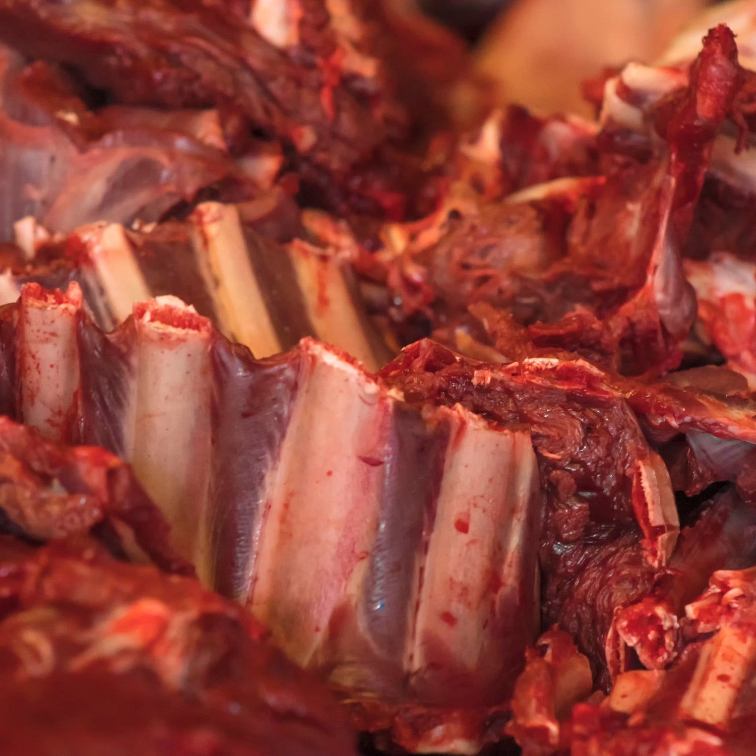 Raw Meaty Bones by Dr Bruce