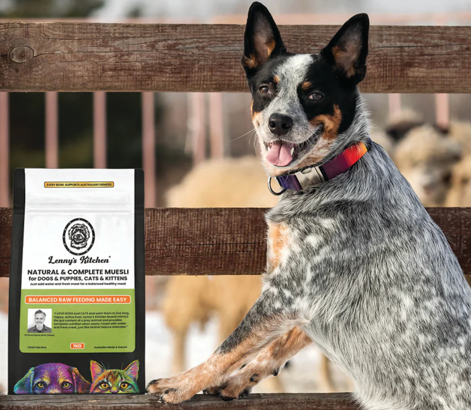 FOOD for Dogs & Cats