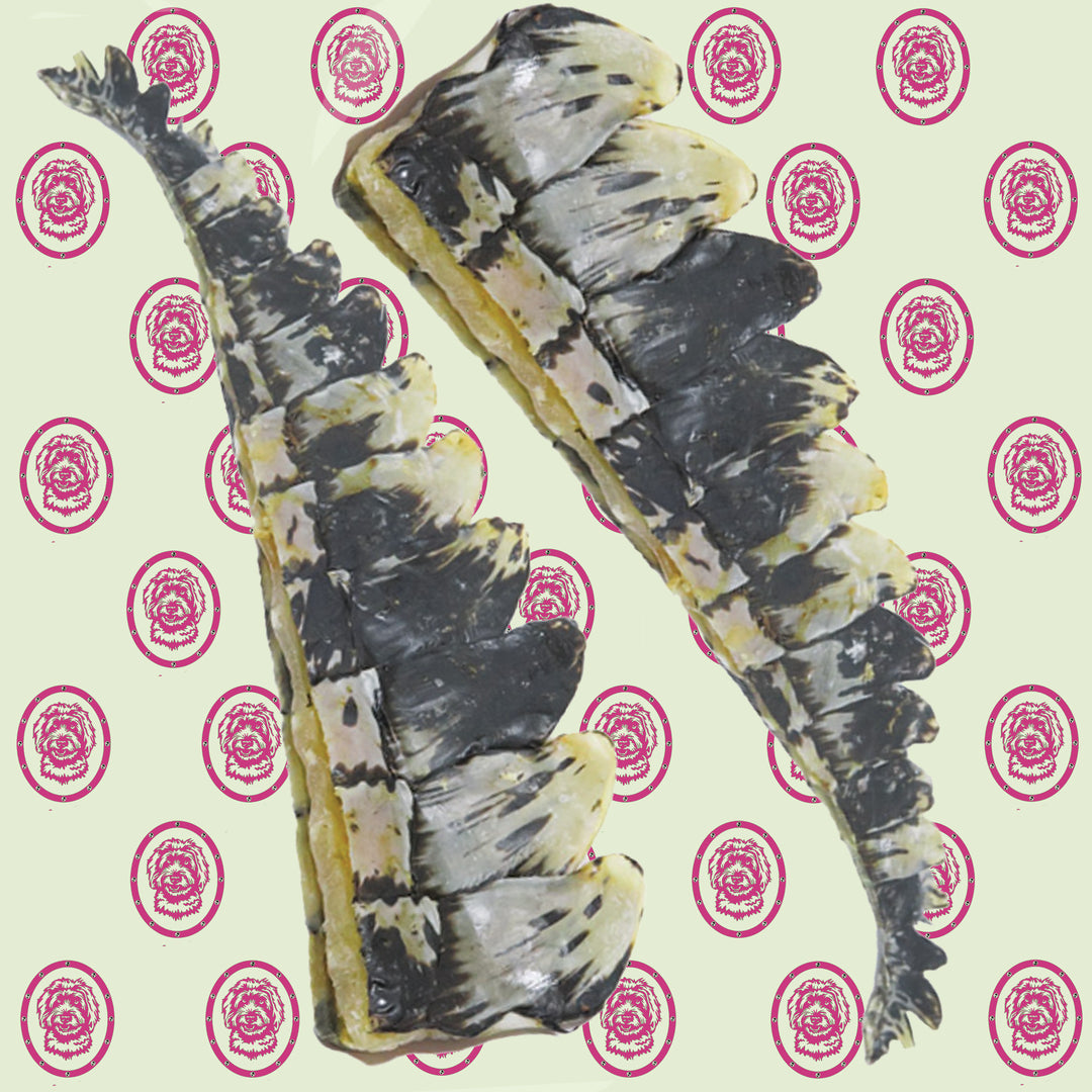 Crocodile Tail 2 Pieces