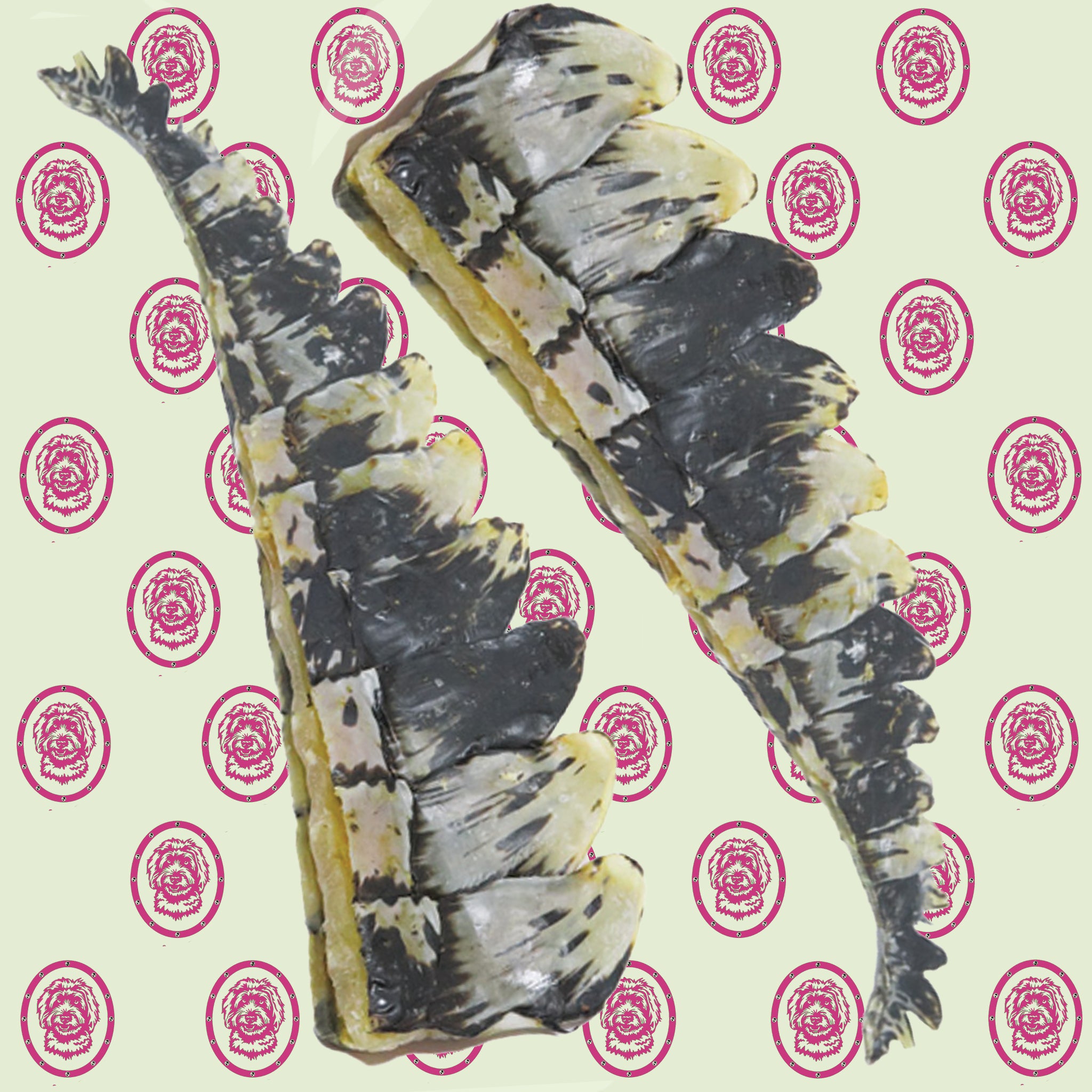 Crocodile Tail 2 Pieces
