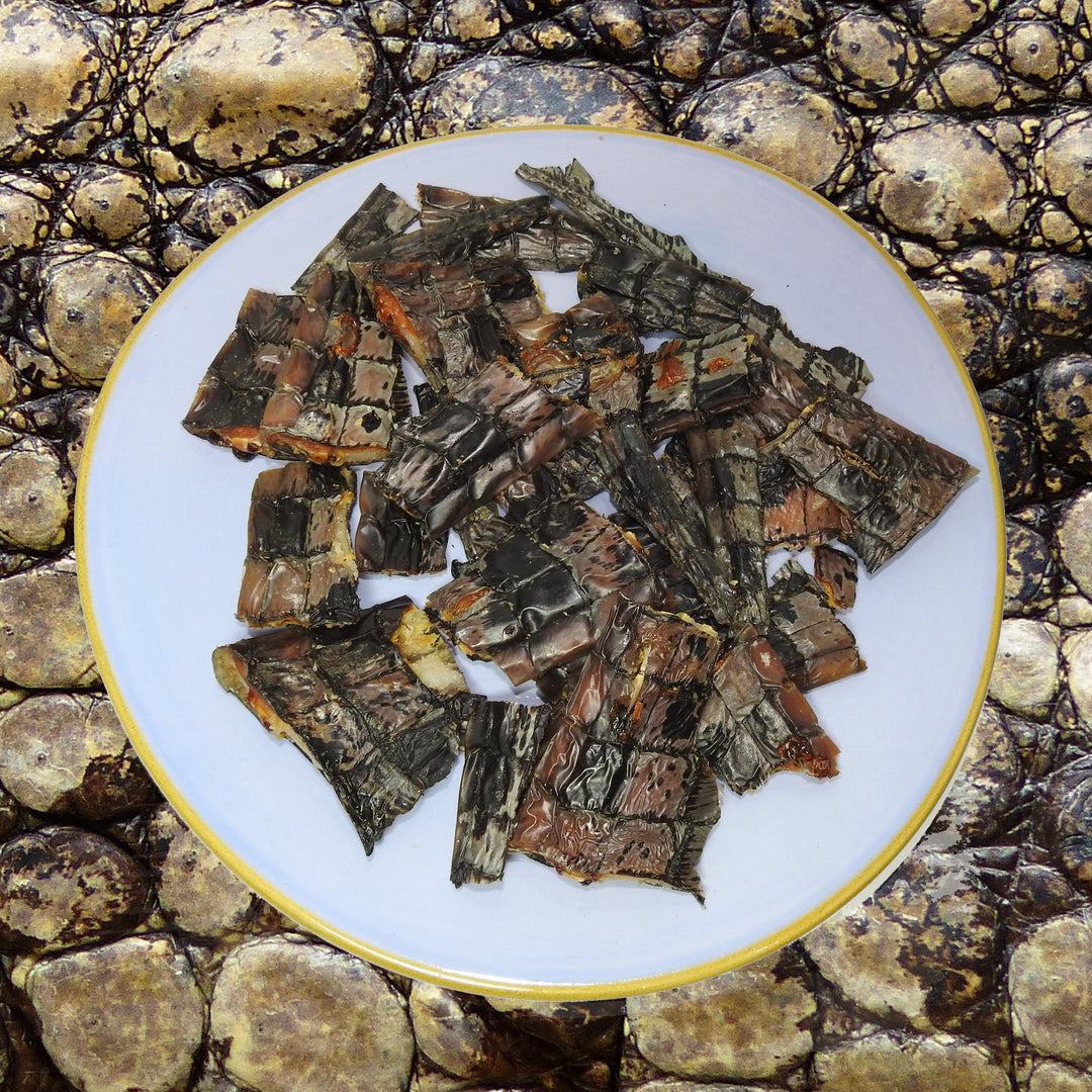 Crunchy Crocodile Chips 100g