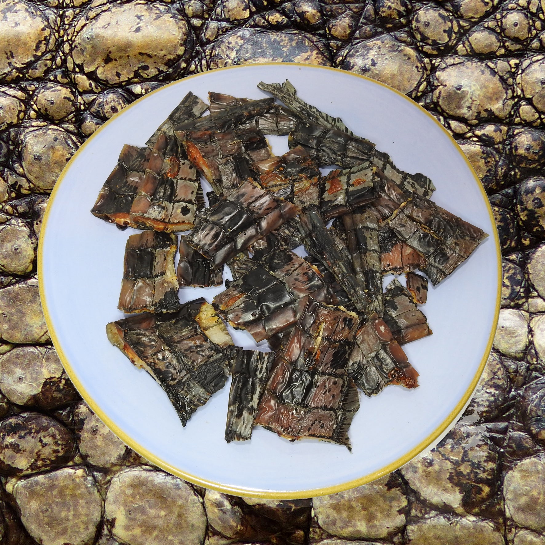 Crunchy Crocodile Chips 100g