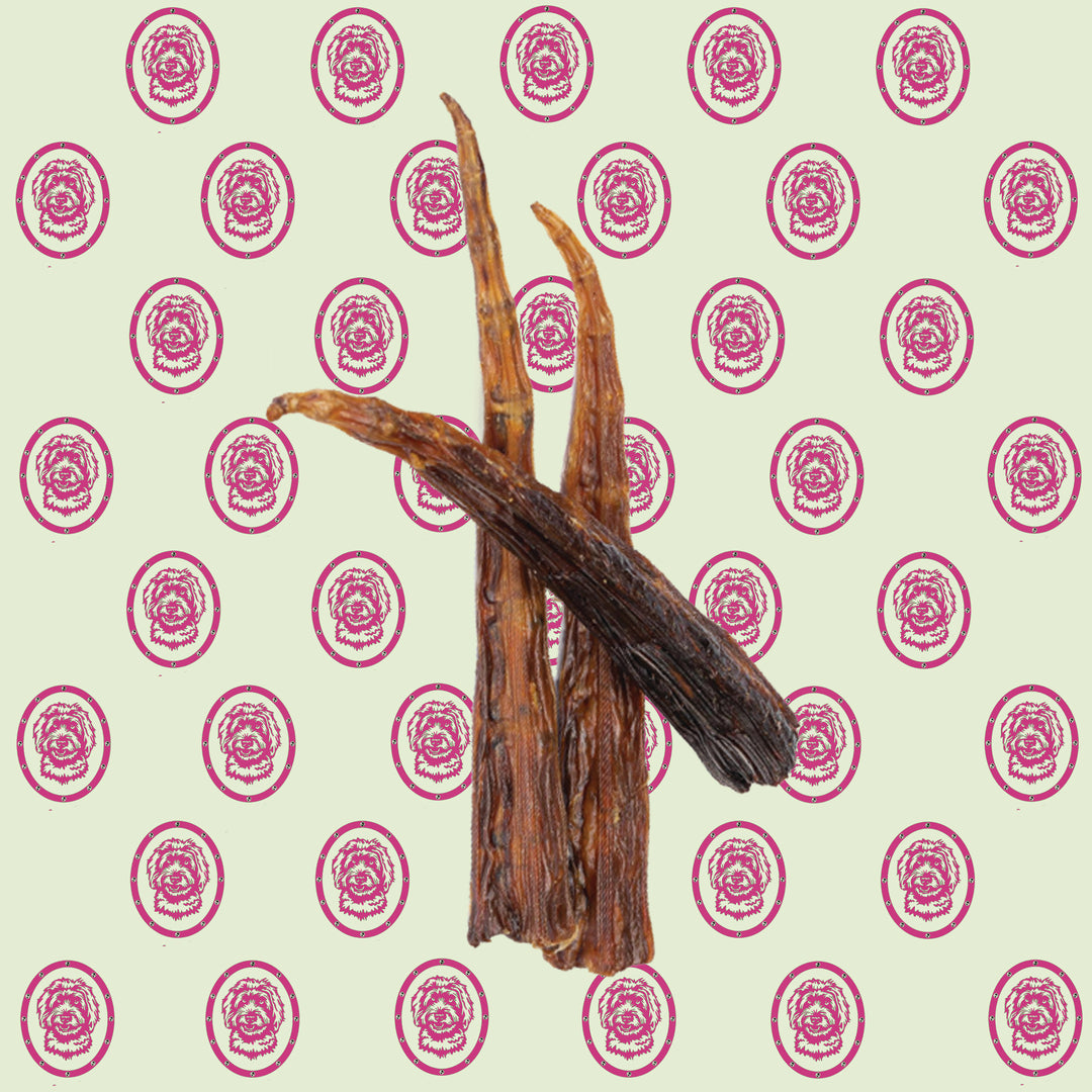 Kangaroo Tail Tips - 2 pieces