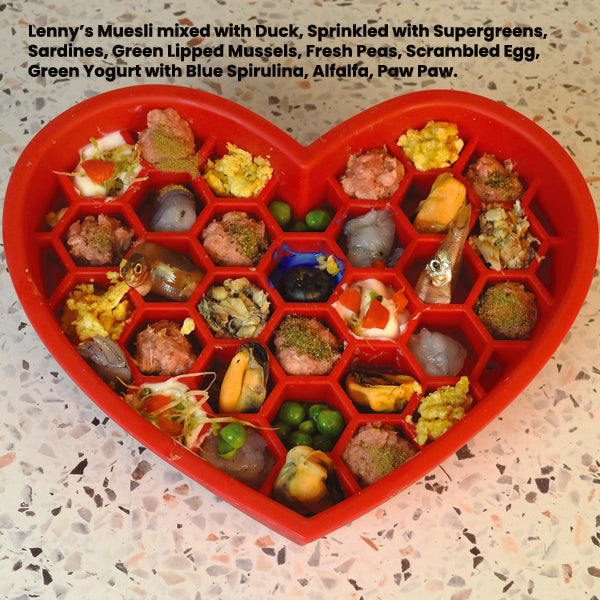Lenny's Kitchen