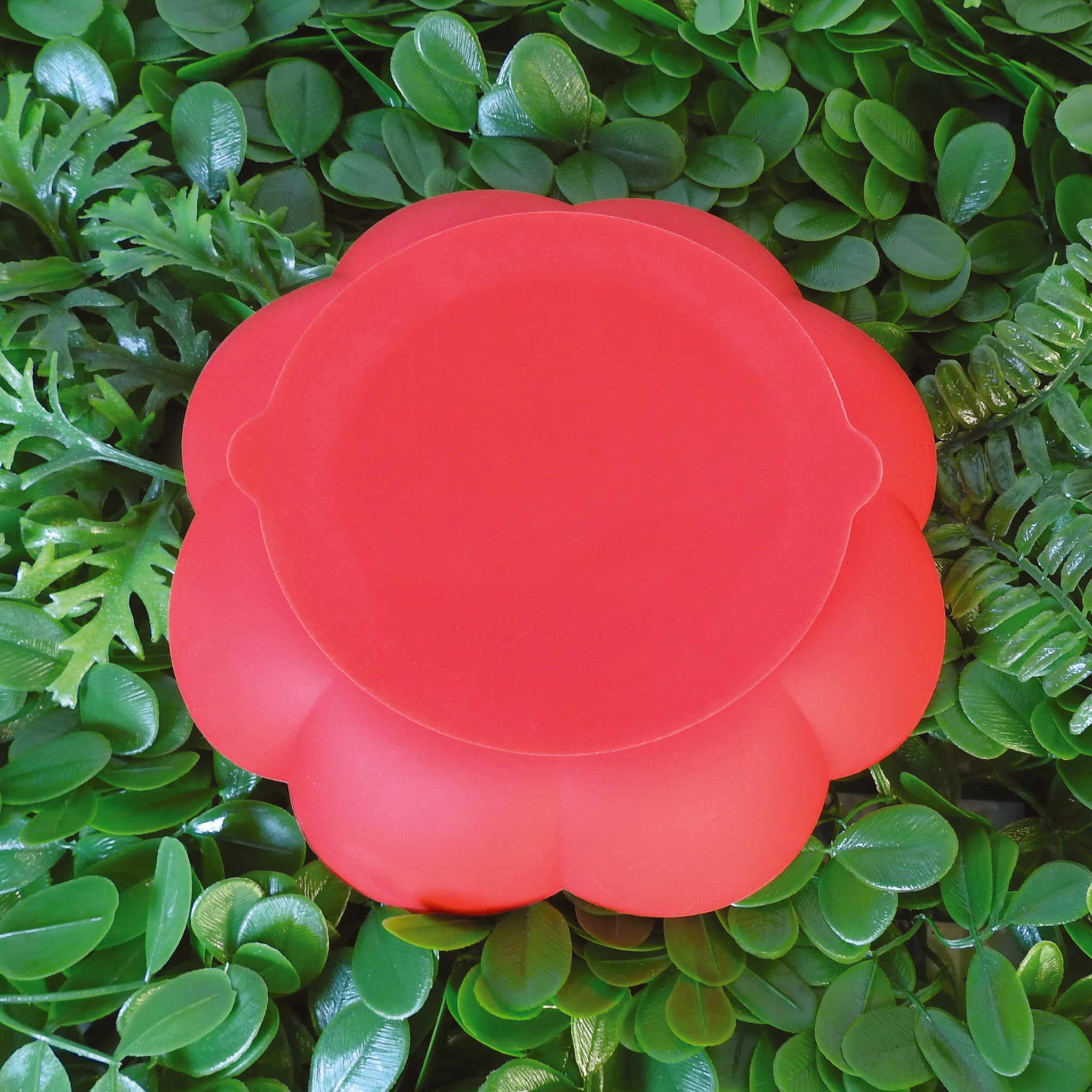 Rose Slow Feeder-Scarlet