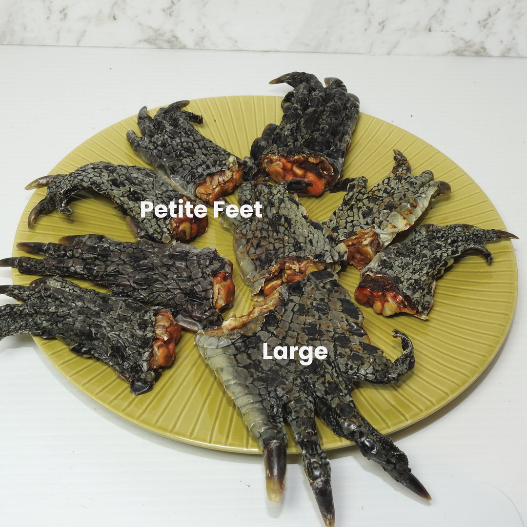 Crocodile Large Feet - 2 Pieces