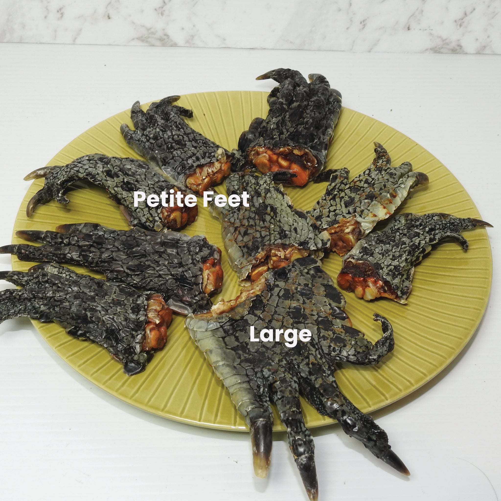 Crocodile Large Feet - 2 Pieces